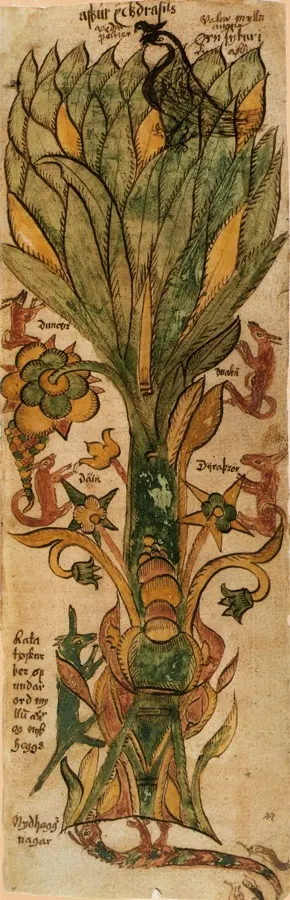 Yggdrasil manuscript page with Ratatoskr